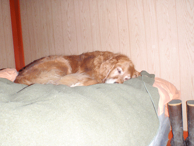 Here I am sleeping on Mom & Pop's bed at the cabin