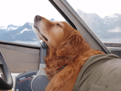 Me sleeping at the throttle in Prince William Sound